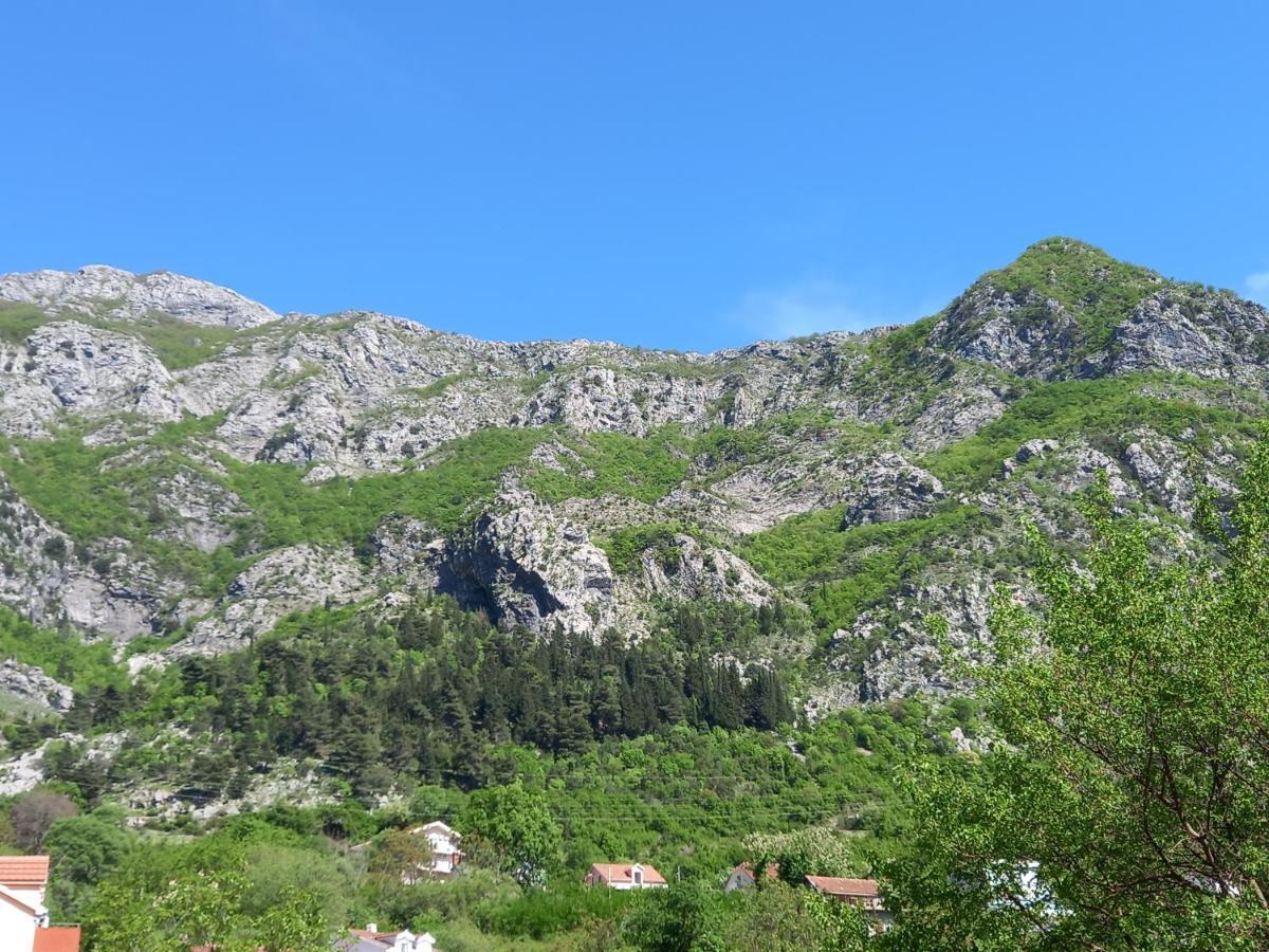 Отель Sea View Рисан Экстерьер фото