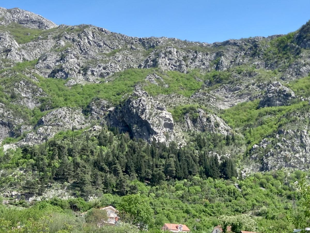 Отель Sea View Рисан Экстерьер фото